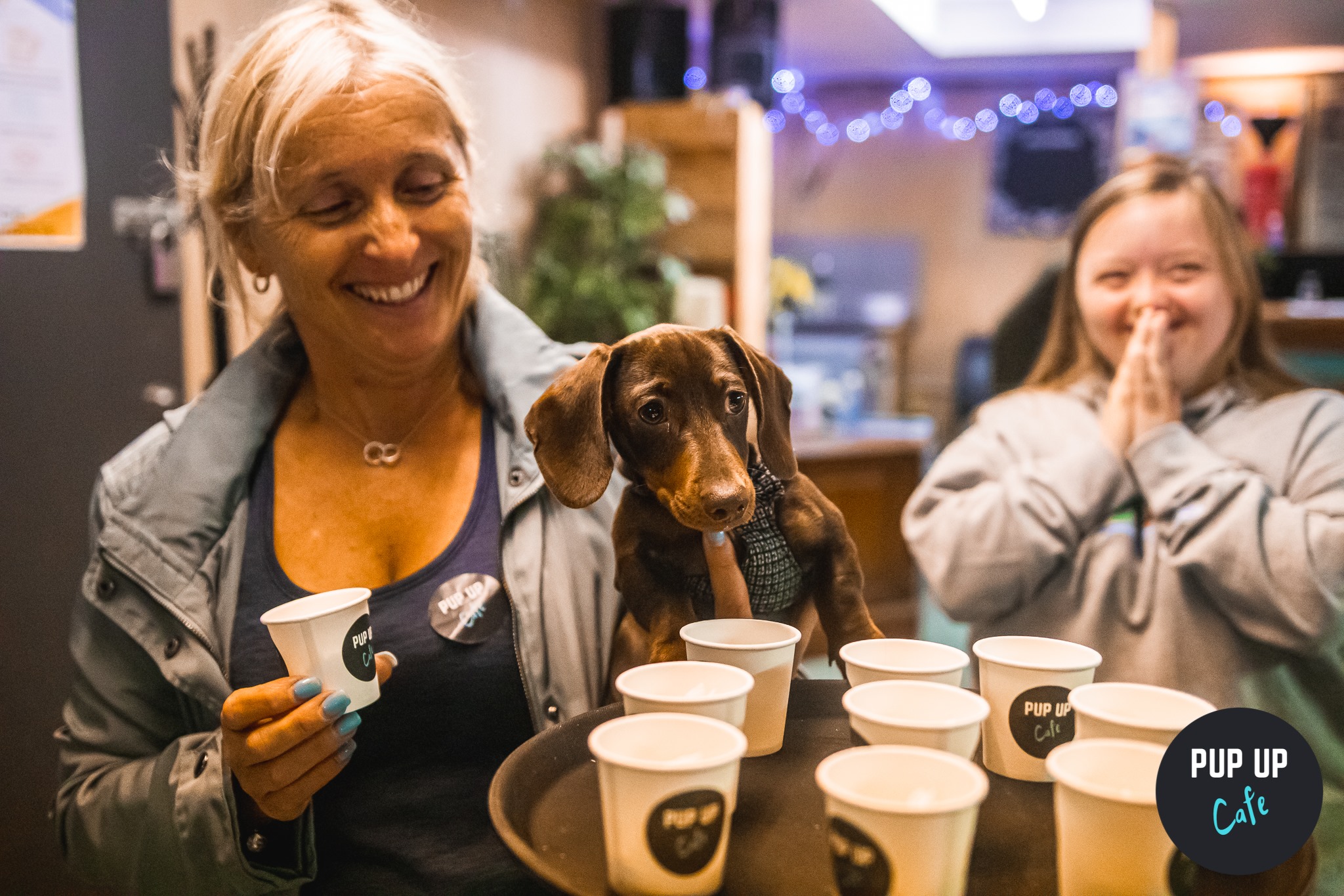 Dachshund Pup Up Cafe – Liverpool