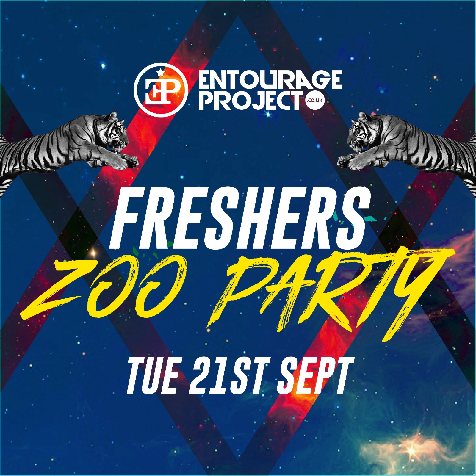 Zoo Party – REVS