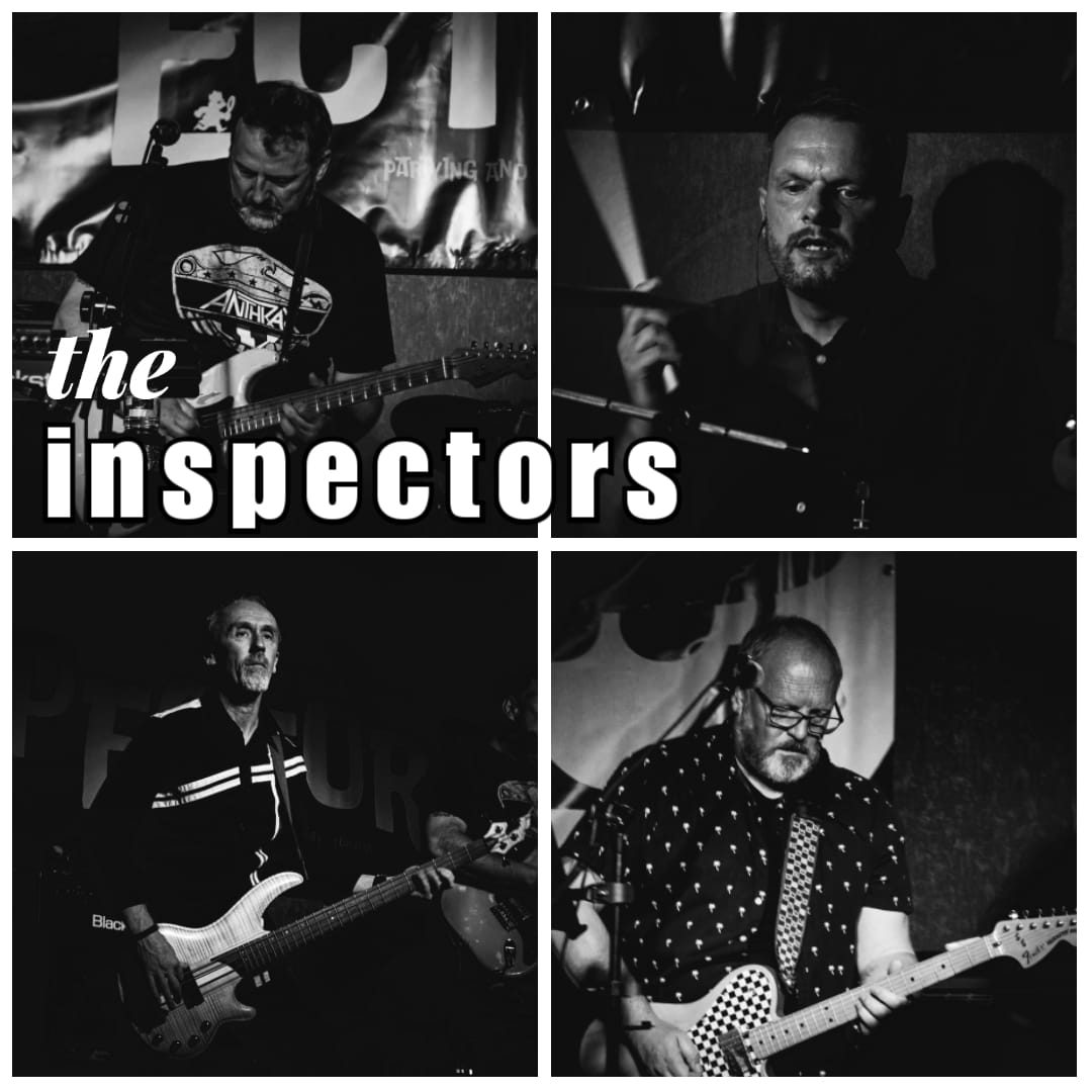 THE INSPECTORS