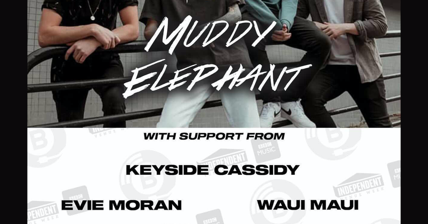 Muddy Elephant