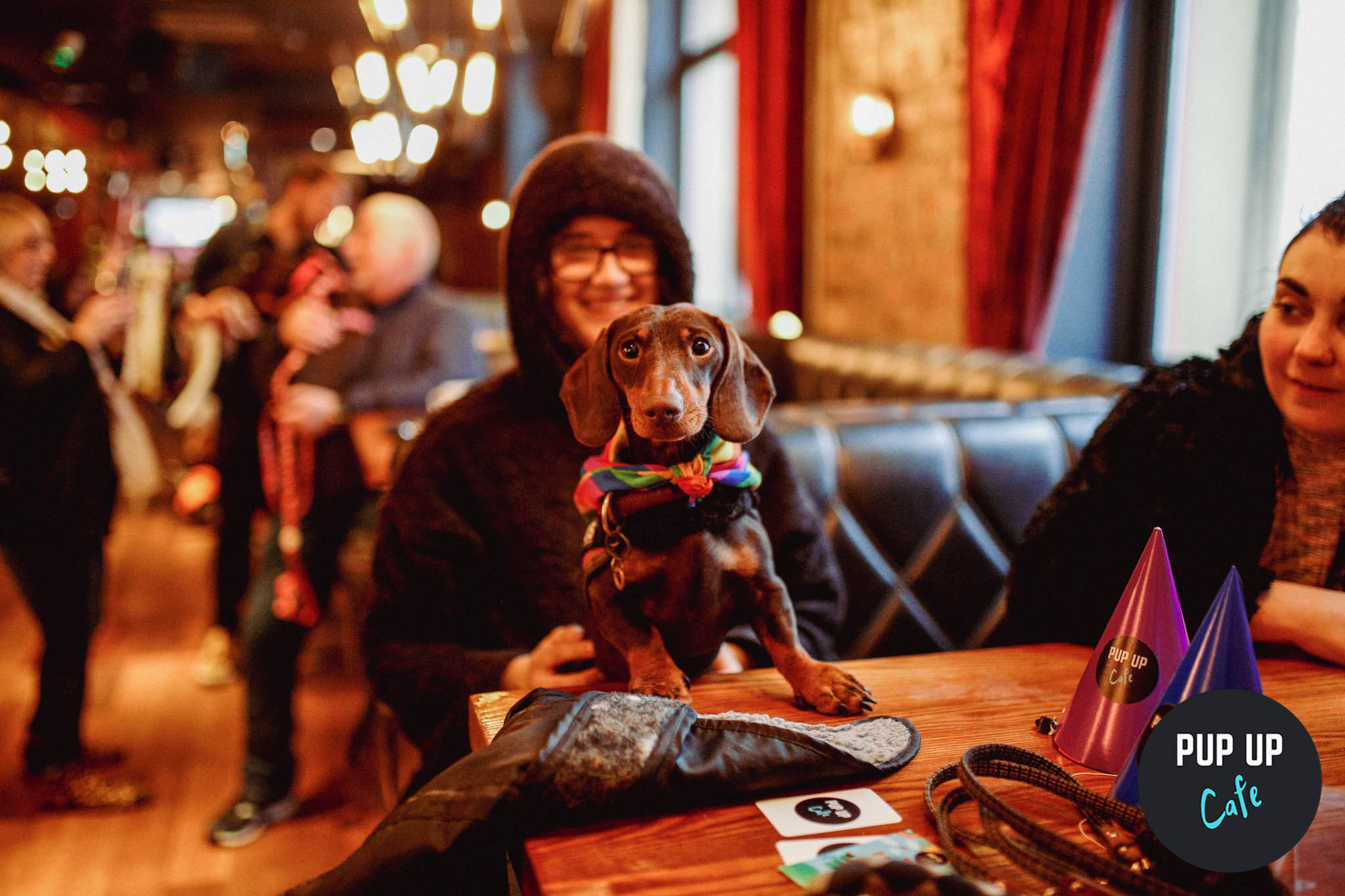 Dachshund Pup Up Cafe – Manchester