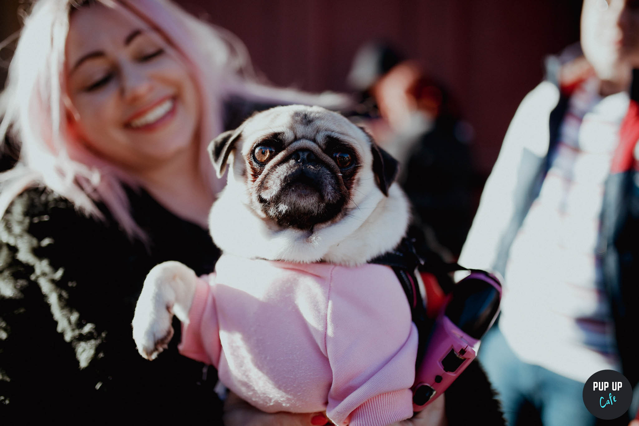 Pug Pup Up Cafe – Wycombe