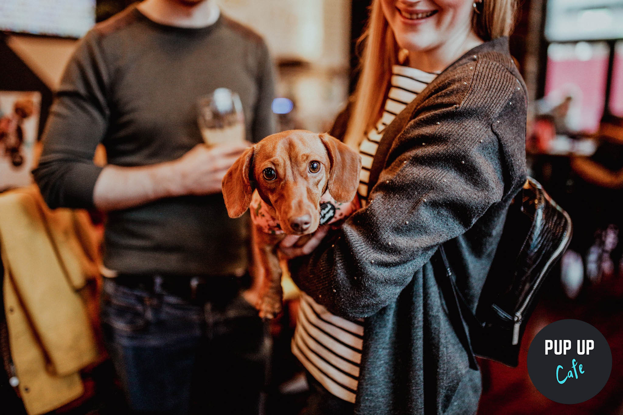 Dachshund Pup Up Cafe – Milton Keynes