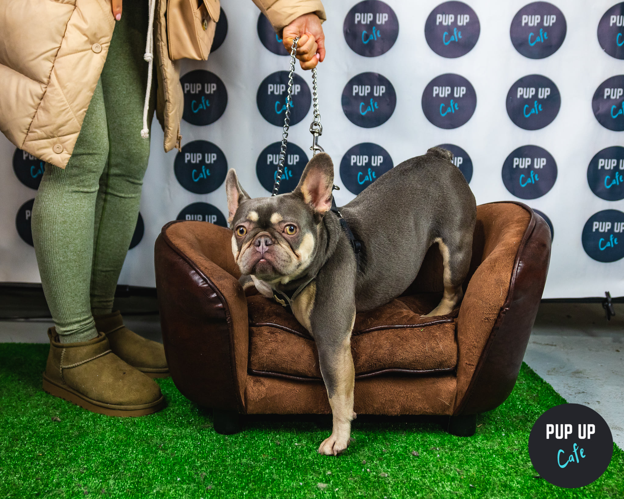 Frenchie Pup Up Cafe – Nottingham