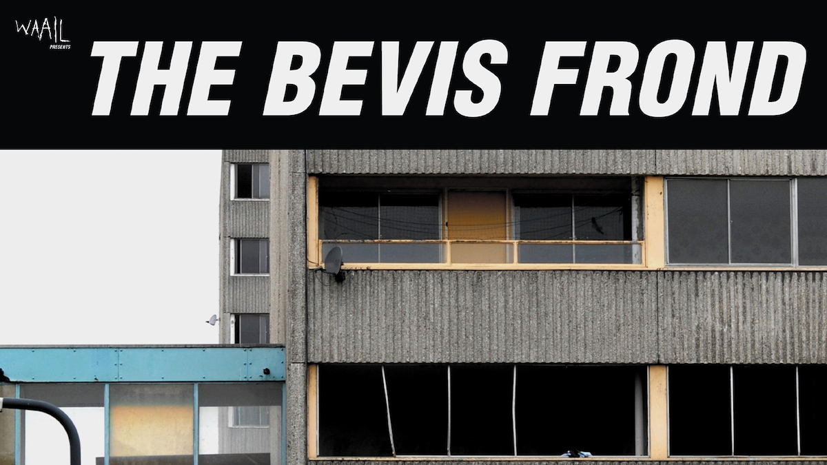 The Bevis Frond