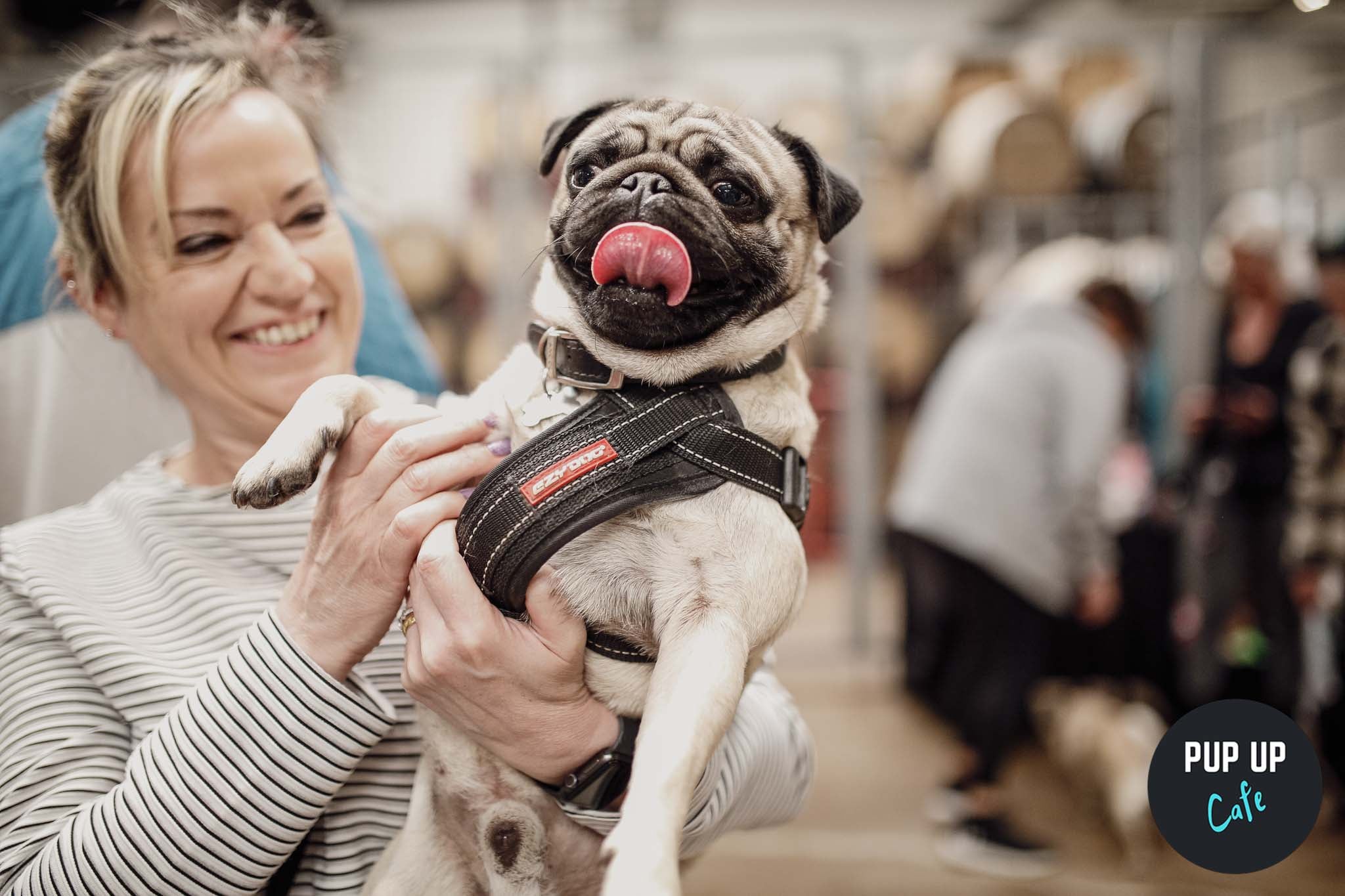 Pug Pup Up Cafe – London Excel