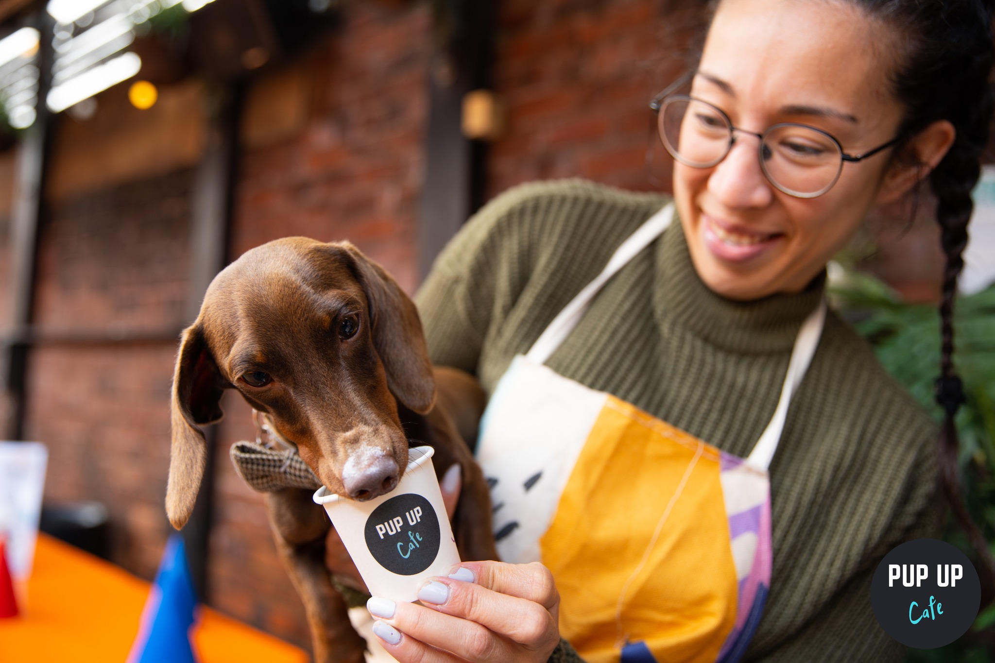 Dachshund Pup Up Cafe – Reading