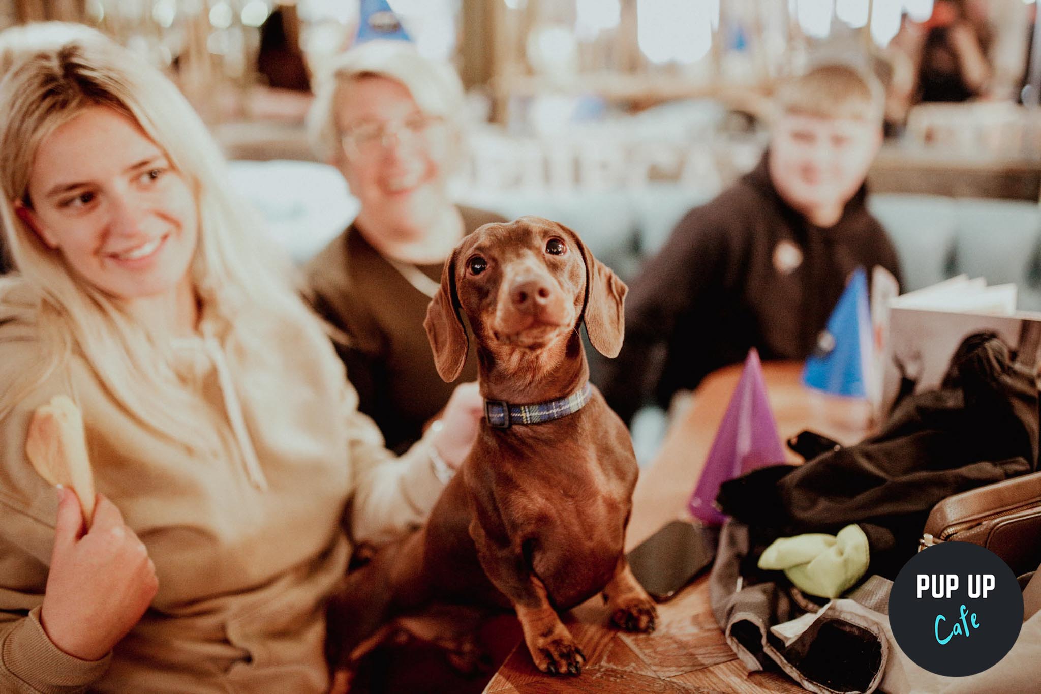 Dachshund Pup Up Cafe – Leeds