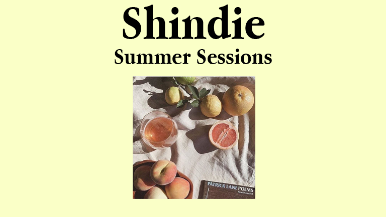 Shindie – Shit Indie Disco – Summer Sessions – 5 ROOMS OF MUSIC – A LEVEL PARTY