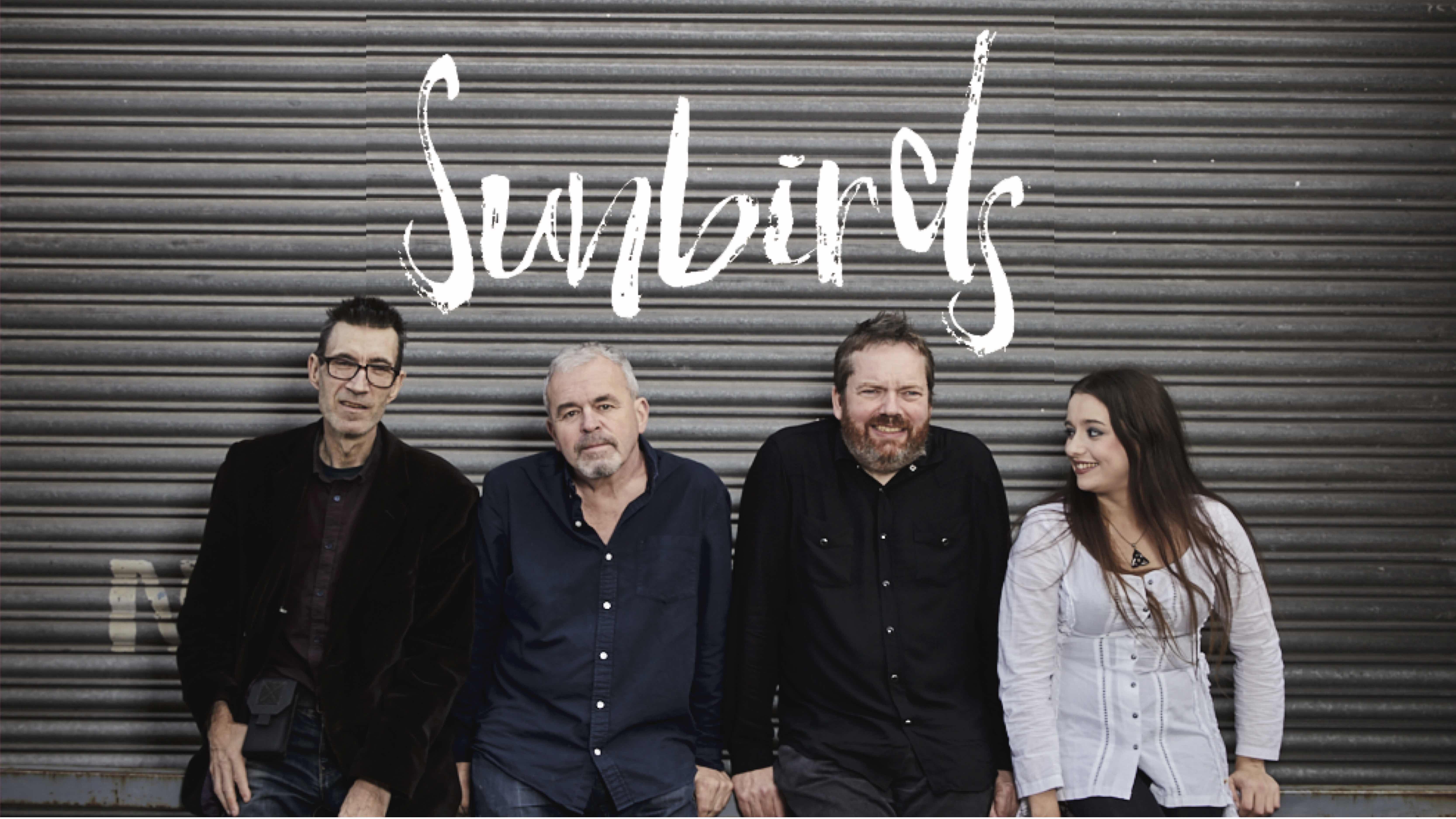 SUNBIRDS – ft Dave Hemingway of The Beautiful South – live