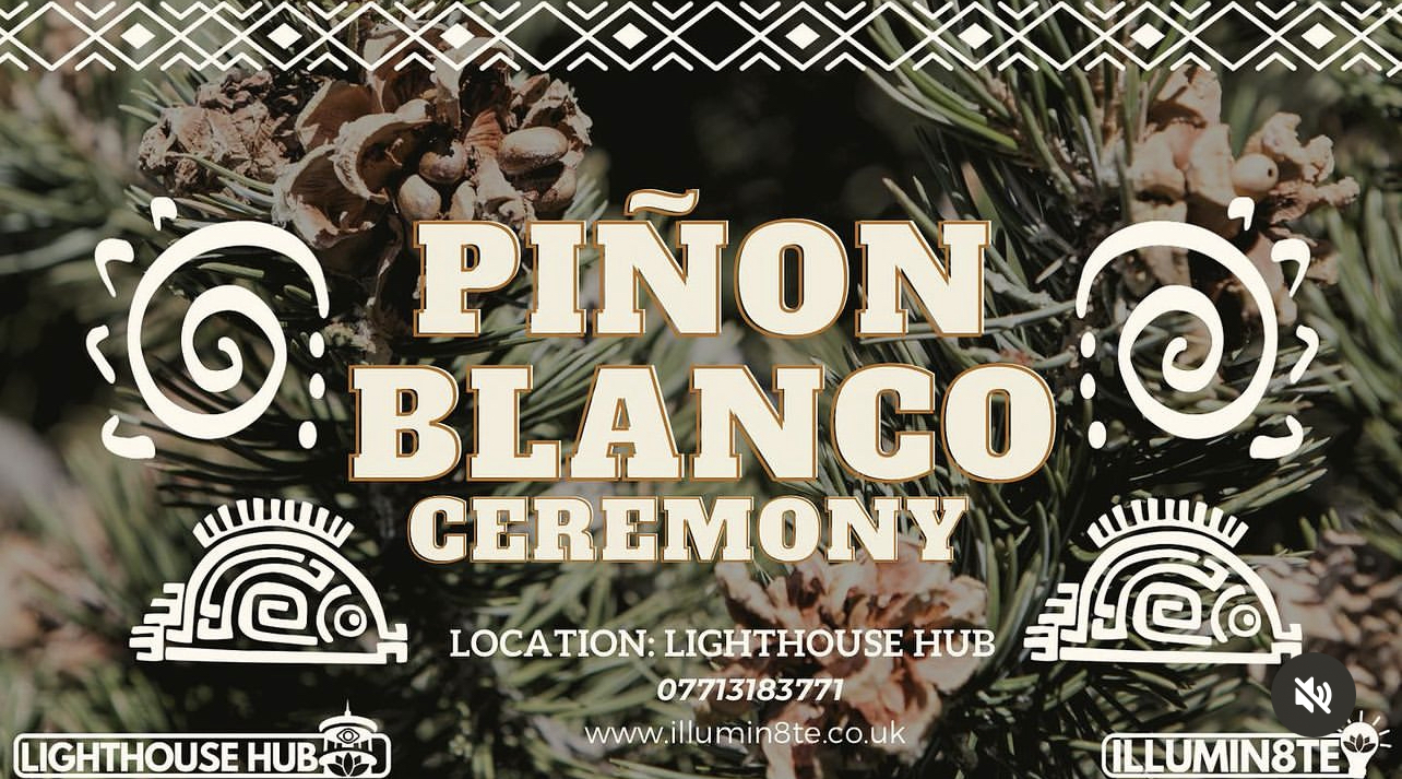 Illumin8te | Sacred Pinon Blanco Ceremony (Saturday 20th Jan) @ The Lighthouse Hub 9am