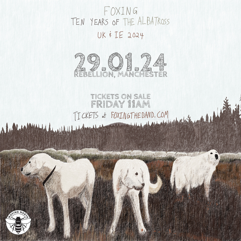 Foxing – Ten years of the Albatross