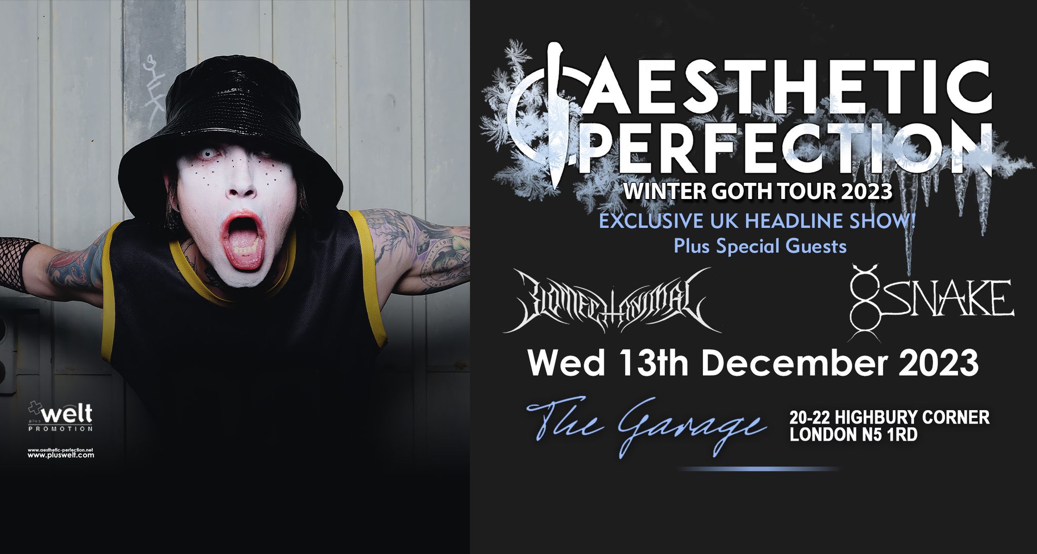 AESTHETIC PERFECTION // Winter Goth Tour// 13th Dec 2023