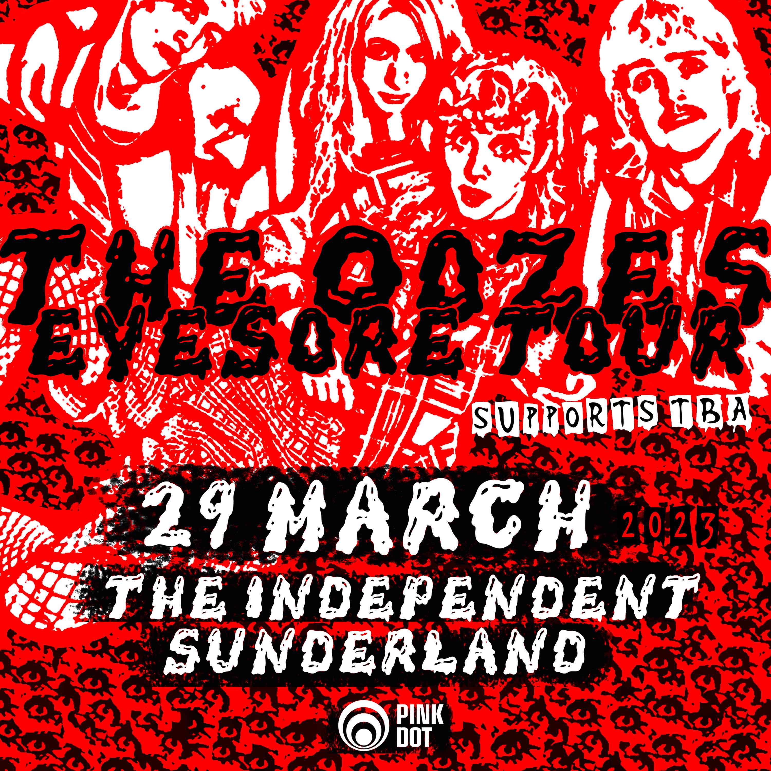 The Oozes Live in Sunderland