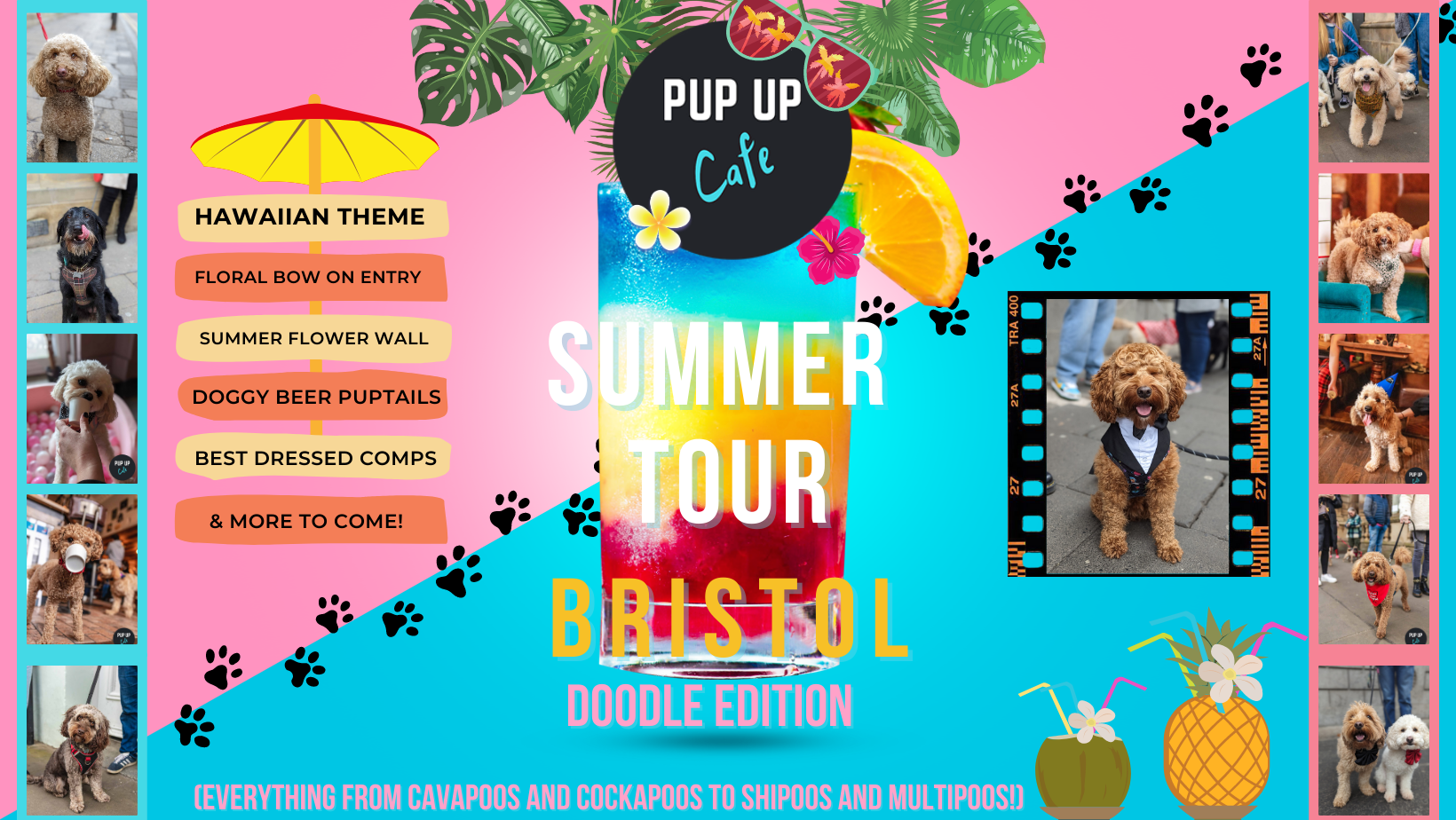 Doodle Pup Up Cafe – Bristol | SUMMER TOUR! 🌞