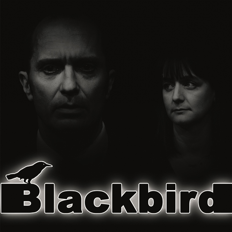 Blackbird