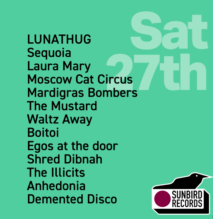 Darwen Live 2023 at Sunbird Records Day One