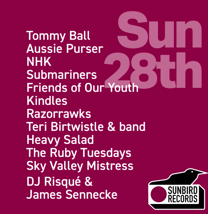 Darwen Live 2023 at Sunbird Records Day Two