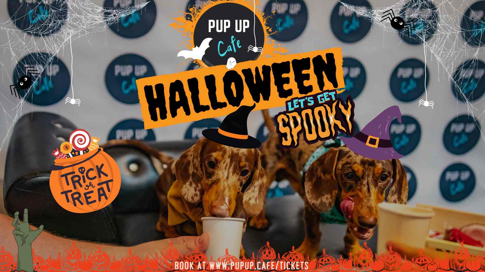 Dachshund Pup Up Cafe – Nottingham | HALLOWEEN! 🎃